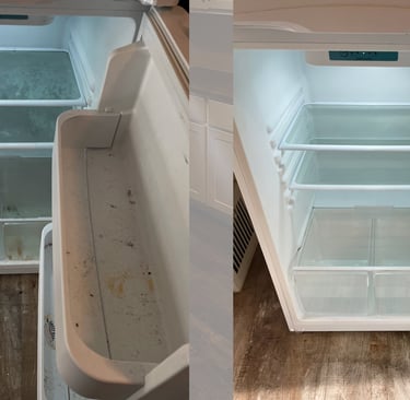 fridge cleaning services