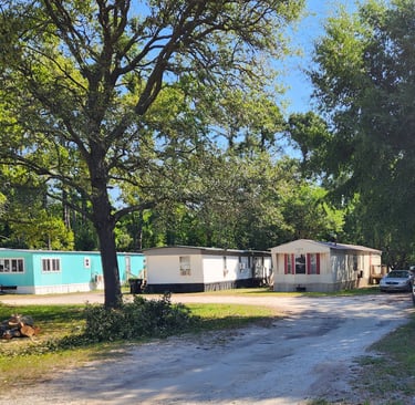 Photo of several of the mobile homes at the park.