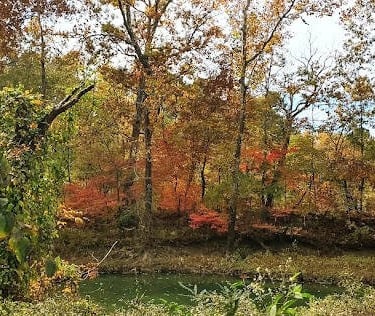 Chattanooga - Trail along the creek marked by 2 and 8 on the map. Fall colors are gorgeous.