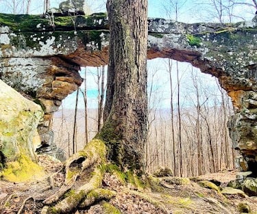Sewanee - Inside the sinkhole looking thru the Natural Bridge opening