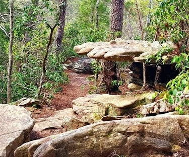 Fall Creek Falls, Pikeville - Walk down the stones to see a big rock hand, Lower Loop Trail