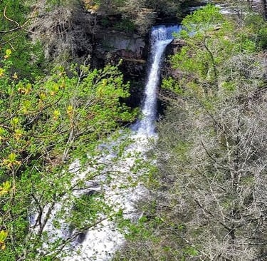 Fall Creek Falls, Pikeville - Far away view of Piney Creek Falls