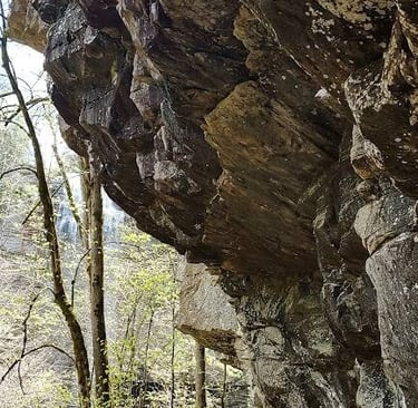 Fall Creek Falls, Pikeville - Massive rock overhang towards bottom of trail