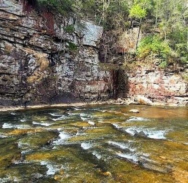 Fall Creek Falls, Pikeville - Top of Piney Creek Falls before they spill over the rock ledge
