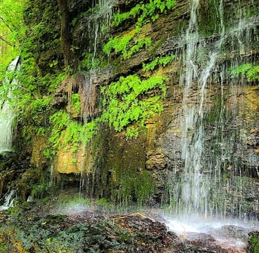 Rock Island Park, TN - Blue Hole Trail has a stunning waterfall down a cliff wall, is it Avatar?