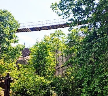 Lookout Mtn, GA - Rock City's Swing Along Bridge has awesome views if you can swing your way across