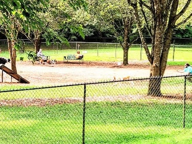 Hixson/Chattanooga - The dog park has an agility course at Greenway Park