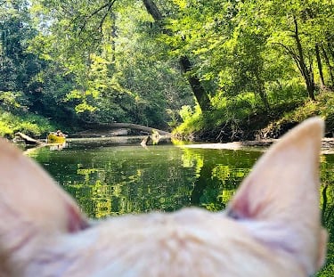 Hixson - Kayak on N. Chickamauga Creek in Greenway Park