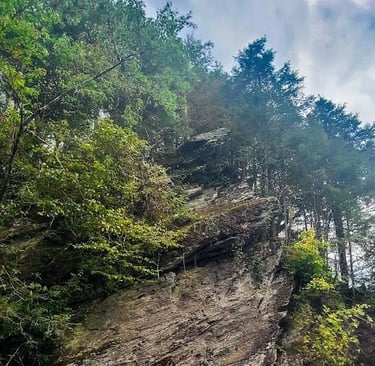 TN Rivers - beautiful big island in the middle of the Hiwassee river near Reliance