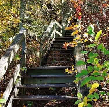 Chatsworth, GA - Metal stairs down to the Overlook platform