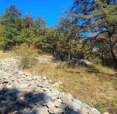 Chatsworth, GA - The stone wall possibly built by the mystery moon eyed people 