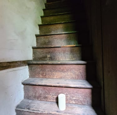 Knoxville, TN Travel - super skinny stairs to the attic at historic Ramsey House