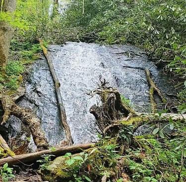 Smoky Mountains, N. Carolina Travel - Rufus Morgan Waterfall