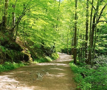 Smoky Mountains, N. Carolina Travel - Past Tom Branch Falls on the Deep Creek Trail