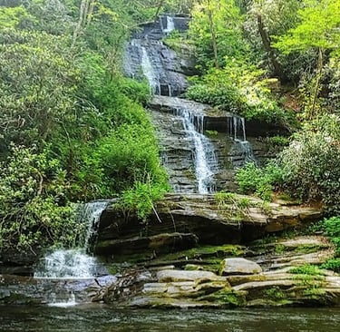 Smoky Mountains, N. Carolina - Tom Branch Falls on Deep Creek Trail like the Jungle Book scenery
