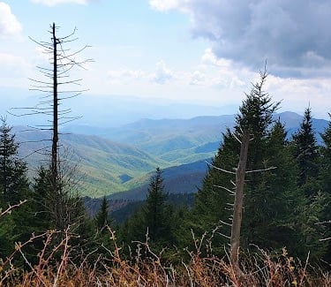 Smoky Mountains, N. Carolina - Newfound Gap is the lowest drivable pass thru the Great Smokies