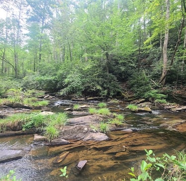 Tellico Plains Tn - Conasauga Falls is in the middle of a lush forest down a fairly steep trail