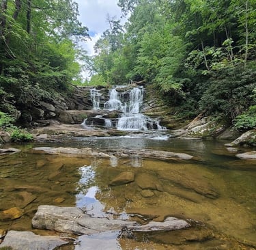 Tellico Plains Tn - To see the full roaring gorgeous Conasauga Falls go in spring or early summer 
