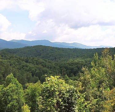 Tellico Plains TN - view of Blue Ridge Mtns at Caney Branch Overlook on Cherohala Skyway