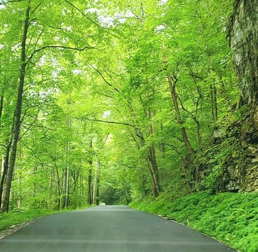 Tellico Plains TN - Hwy 68 thru the beautiful Cherokee National Forest