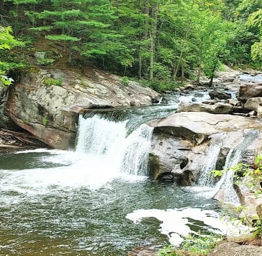 Tellico Plains TN - walk along the road to access Tellico River and see Baby Falls 