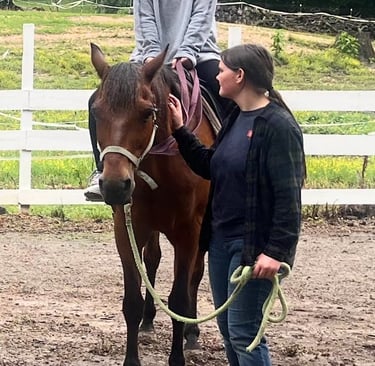Health Vibes - Therapeutic horse riding, a student led by a teacher