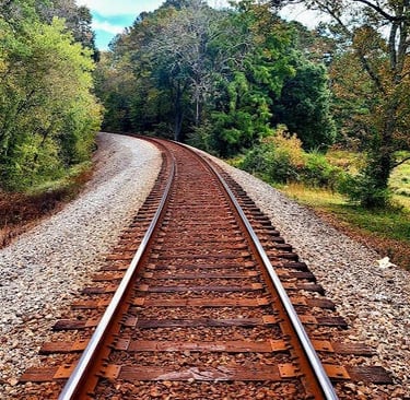 Chattanooga - the trail thru Audubon Acres disappears into the woods to Ford of Youth