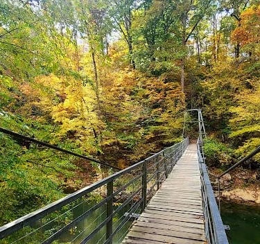 Chattanooga - Audubon Acres has a swinging bridge across S. Chickamauga Creek