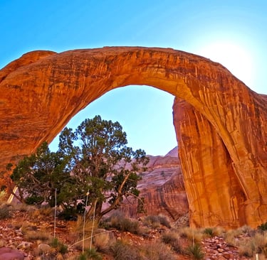 Flagstaff/Page Travel - Down Forbidding Canyon is the trail to Rainbow Bridge Monument