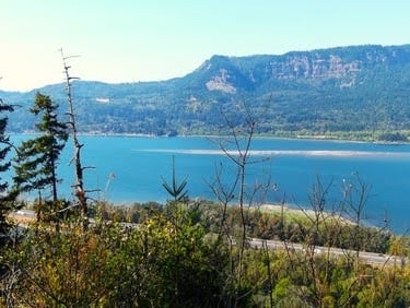 Columbia River Gorge, Oregon - the border between OR & WA, and the cliffs rise 4,000 ft.