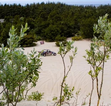 Oregon Coast - Winchester Bay's sand dunes are popular all year