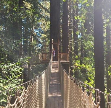 Health Vibes - Trees of Mystery canopy trail to conquer my fear of heights