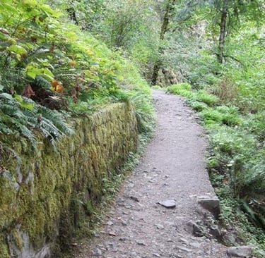 Columbia River Gorge - The narrow trail to Horsetail & ponytail Falls