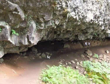 Columbia River Gorge - My little dog Bennie is exploring the cliff overhang at Ponytail Falls