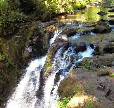Eugene, OR - Majestic Falls at the top before it plunges down