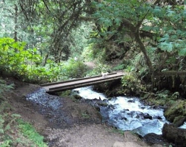 Columbia River Gorge - footbridge across Multnomah Creek that runs along the trail