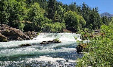 Waterfall Hwy, OR -Salmon jump up the Deadline Falls waterfall