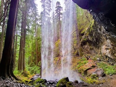 Waterfall Hwy, OR - View from behind Grotto Falls