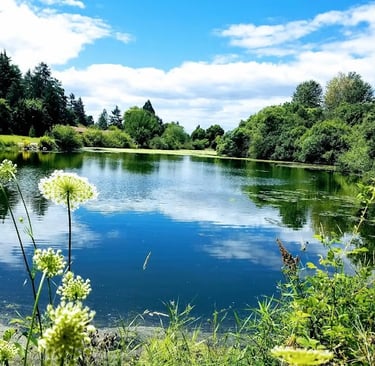 Portland, OR - Beautiful lake view in summer at Commonwealth Park