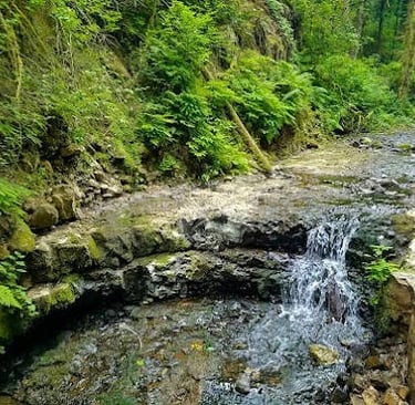 Portland, OR - Creek along the hiking trail to the Witch's Castle