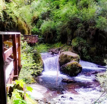Oregon Coast - Sweet Creek Falls has a few small waterfalls along the trail in Mapleton