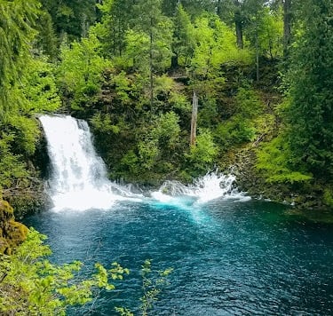 Eugene - Tamolitch Falls plunges into a 30 feet deep blue-turquoise pool