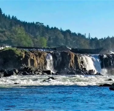 Portland, OR - Jetboat ride on the Willamette River to see the Willamette Falls