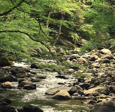Fall Creek Falls, Pikeville - Small creeks within the State Park