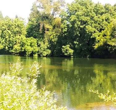 Roseburg - Stewart Park runs along the Umpqua River for added water sports