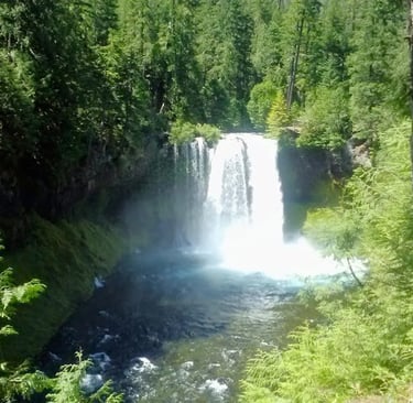 Eugene - Powerful Sahalie Fall means "heaven", and Koosah Falls along the loop trail