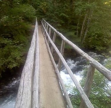 Eugene, OR - Footbridge across McKenzie River is 1/2 a log 30 inches wide heading to Sahalie Falls