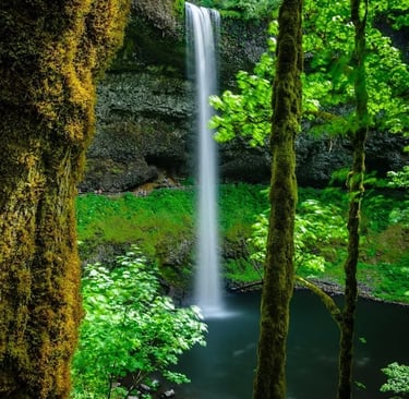Salem, OR - South Falls seen from the South Falls Day Use area at Silver Falls Park