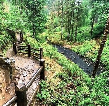 Salem, OR -  Maple Loop trail around Silver Creek to 2 waterfalls at Silver Falls Park