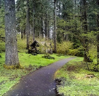 Salem, OR - Lost Home of the 7 Dwarfs at Silver Falls Fark & Aerial Trek